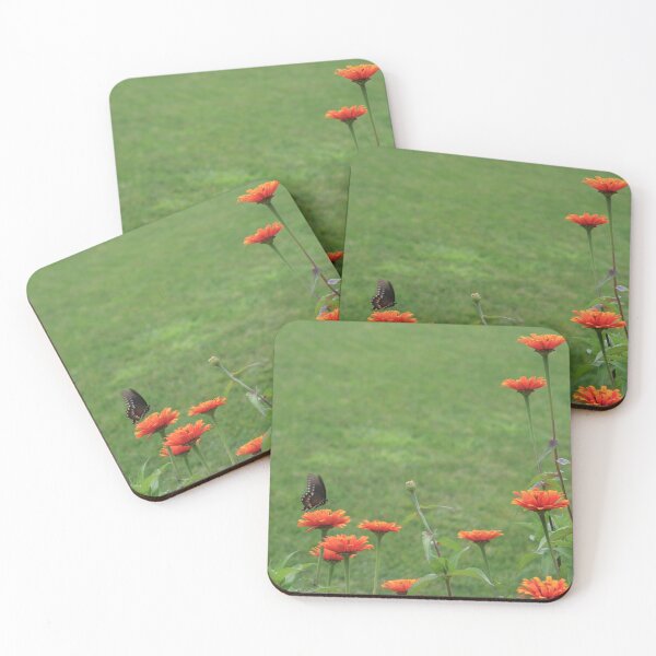 Item preview, Butterfly and Orange beauties designed and sold by picturedlcphoto.