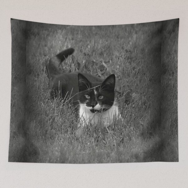 Item preview, Black and White Cat in the Grass designed and sold by ReneeKennedy.