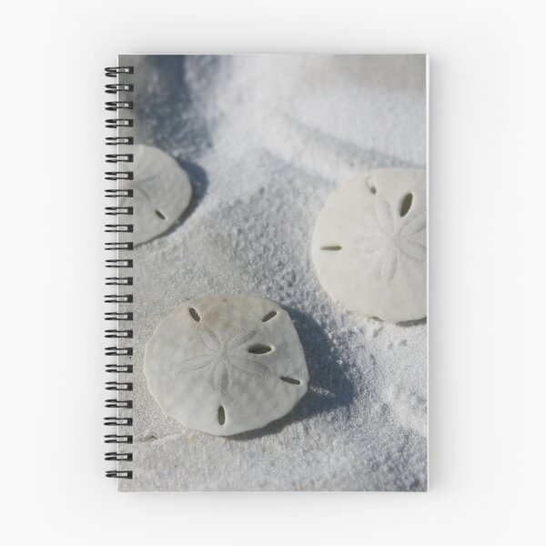 Item preview, Sand Dollars designed and sold by picturedlcphoto.