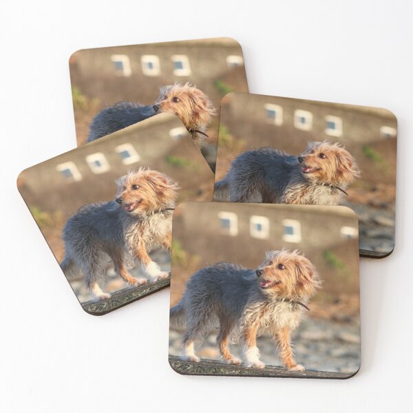 Item preview, Kaiya the crossbreed designed and sold by GreyFeatherPhot.
