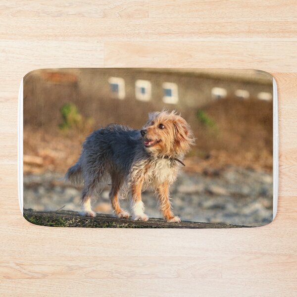 Item preview, Kaiya the crossbreed designed and sold by GreyFeatherPhot.