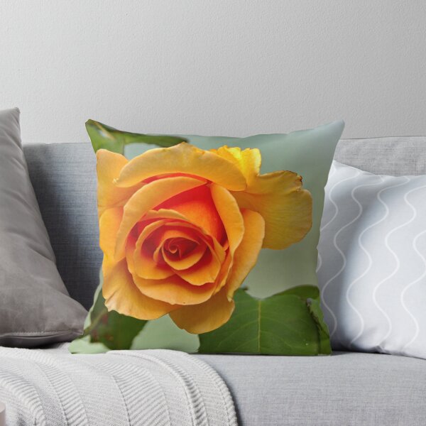 Item preview, Apricot Rose designed and sold by Matthew Burniston.