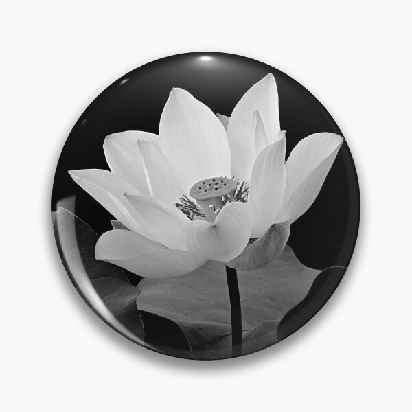 Item preview, Lotus Flower in Black and White  designed and sold by Linda Walsh.