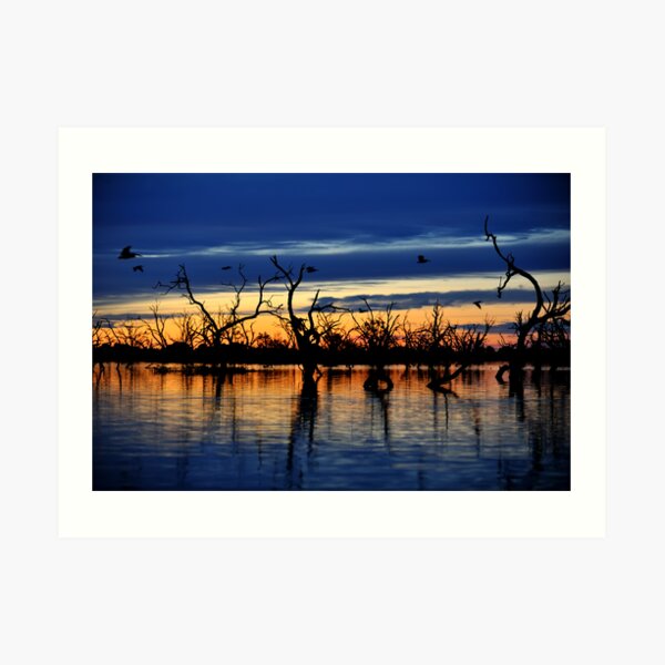 Reflections of the Day, Menindee Lakes, NSW Art Print