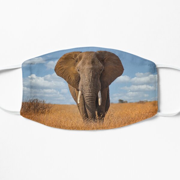 African Elephant in Kruger National Park Flat Mask