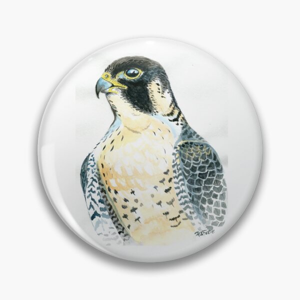 Item preview, Peregrine study. designed and sold by Fozzyartsales.