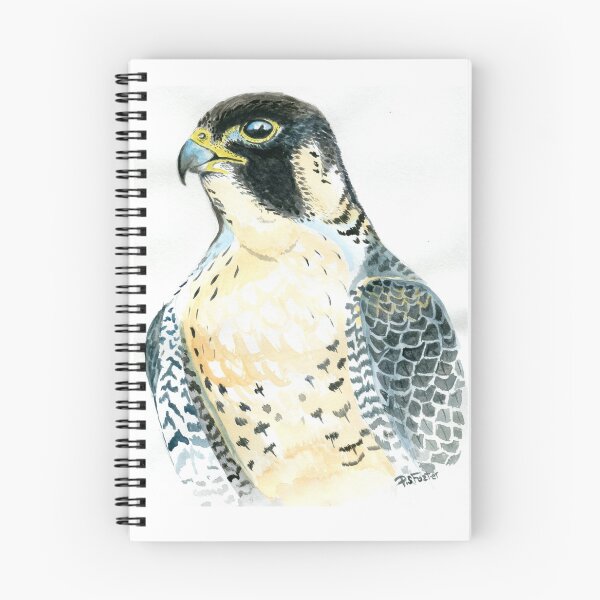 Item preview, Peregrine study. designed and sold by Fozzyartsales.