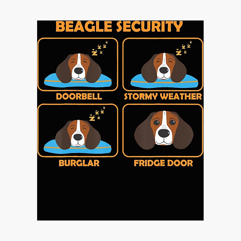 cool beagle