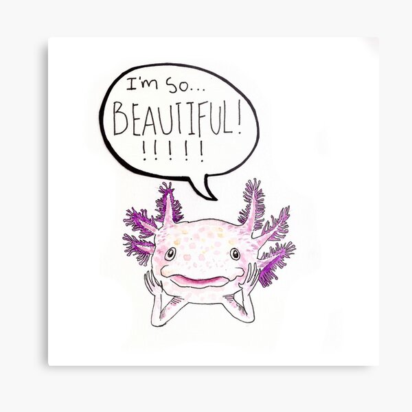 Axolotl Print Metal Print