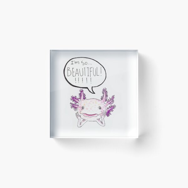 Axolotl Print Acrylic Block