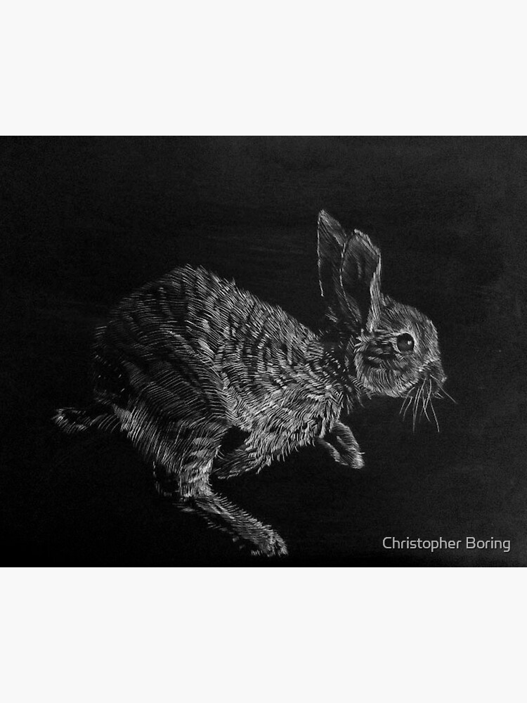 "Young Whitetailed Jack Rabbit" Art Print by BoringArt Redbubble
