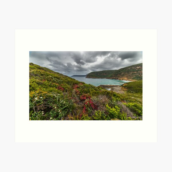 Item preview, Wildflowers, Tasman Peninsula, Tasmania designed and sold by Scott Godwin.