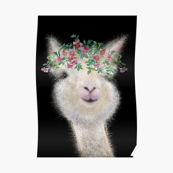 Poster Mignon Bebe Lama Moelleux Dessin D Alpaga Par Hollycooper Redbubble