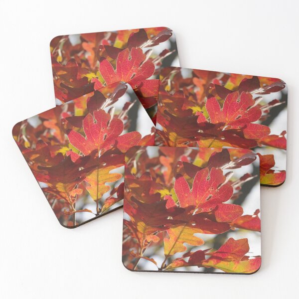 Item preview, Oak Glow - Autumn Colors designed and sold by rvjames.
