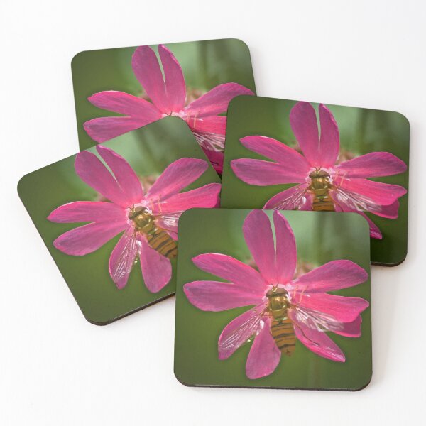 Item preview, HOVER CHAMPION ON CAMPION designed and sold by NICK COBURN PHILLIPS.