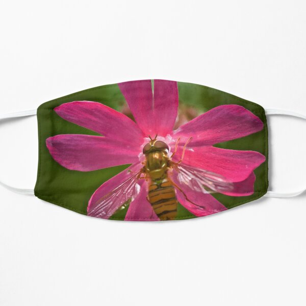 HOVER CHAMPION ON CAMPION Flat Mask
