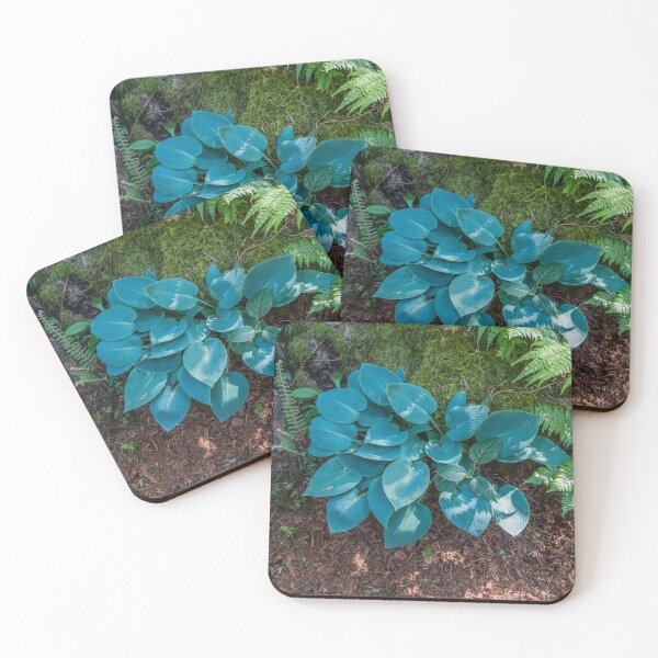 Item preview, Large Hosta Plant designed and sold by georgecolephoto.