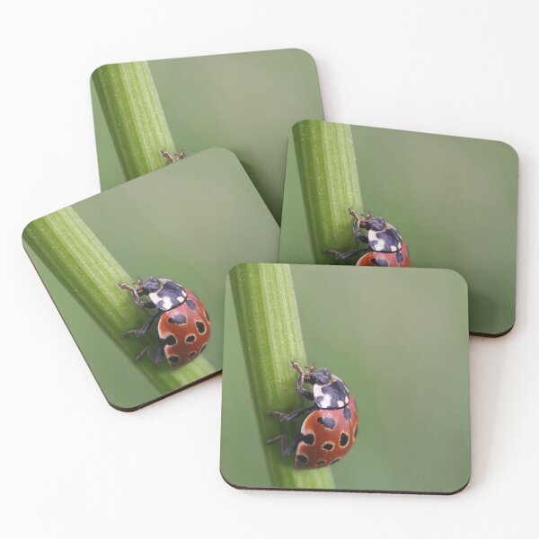 Item preview, Ladybird on the Move designed and sold by DreamLand-Media.