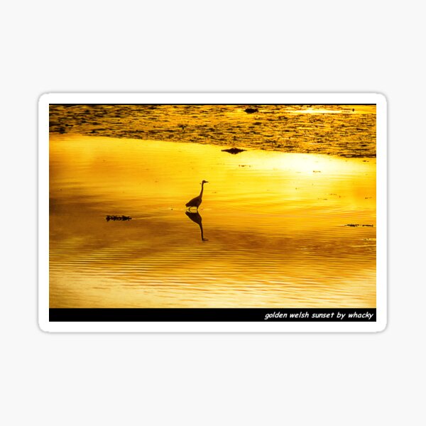 Golden Welsh Sunset Sticker