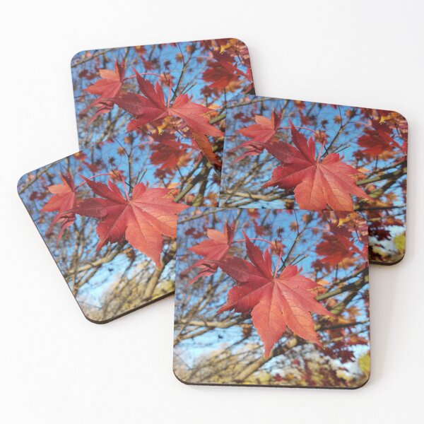 Item preview, Maple leaf center stage designed and sold by rvjames.