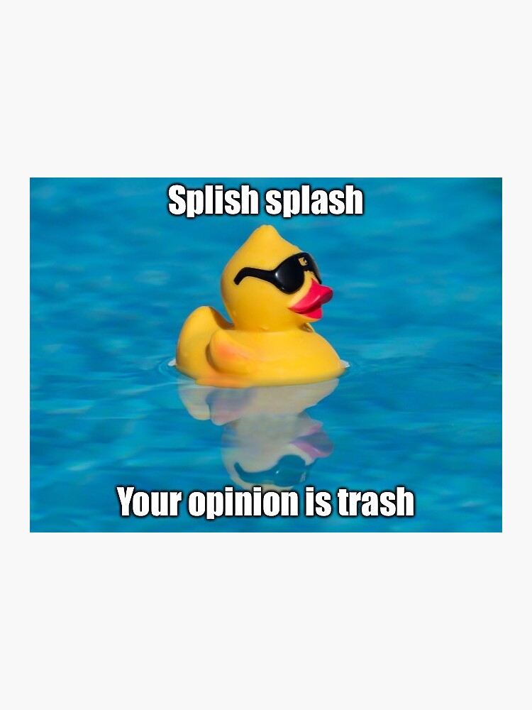 Splish Splash Your Opinion Is Trash Hd - Quotes Update