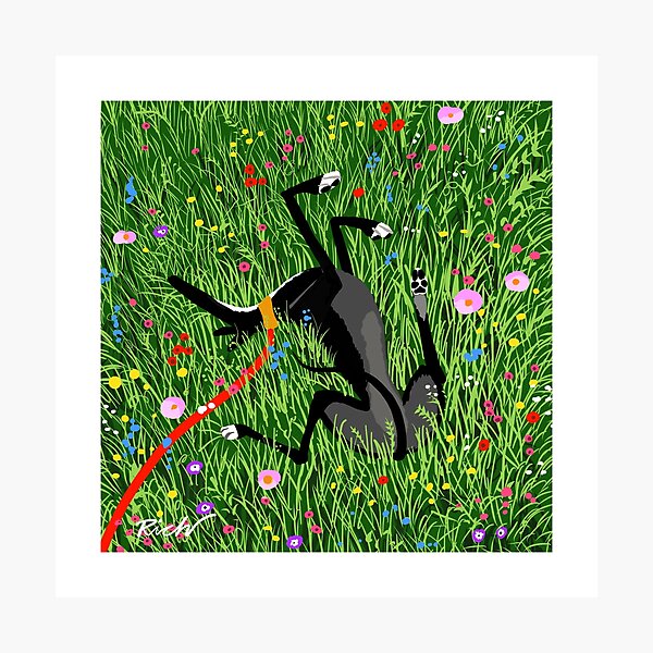 Roaching in the Wildflowers Photographic Print