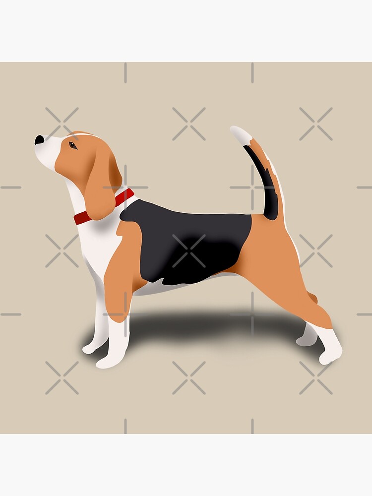 Beagle by kmg-design