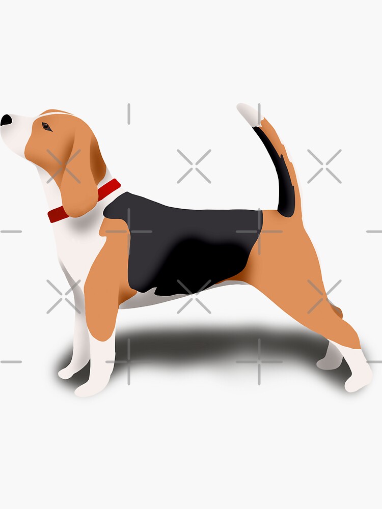 Beagle by kmg-design