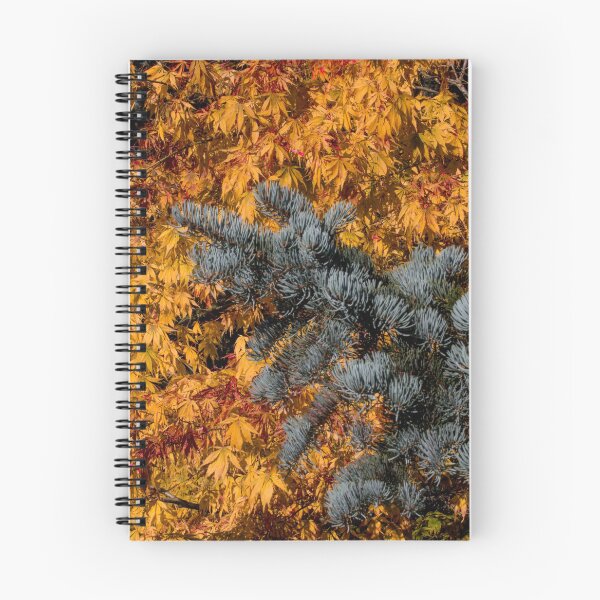 Item preview, Autumn Gold designed and sold by Kevin Tappenden.