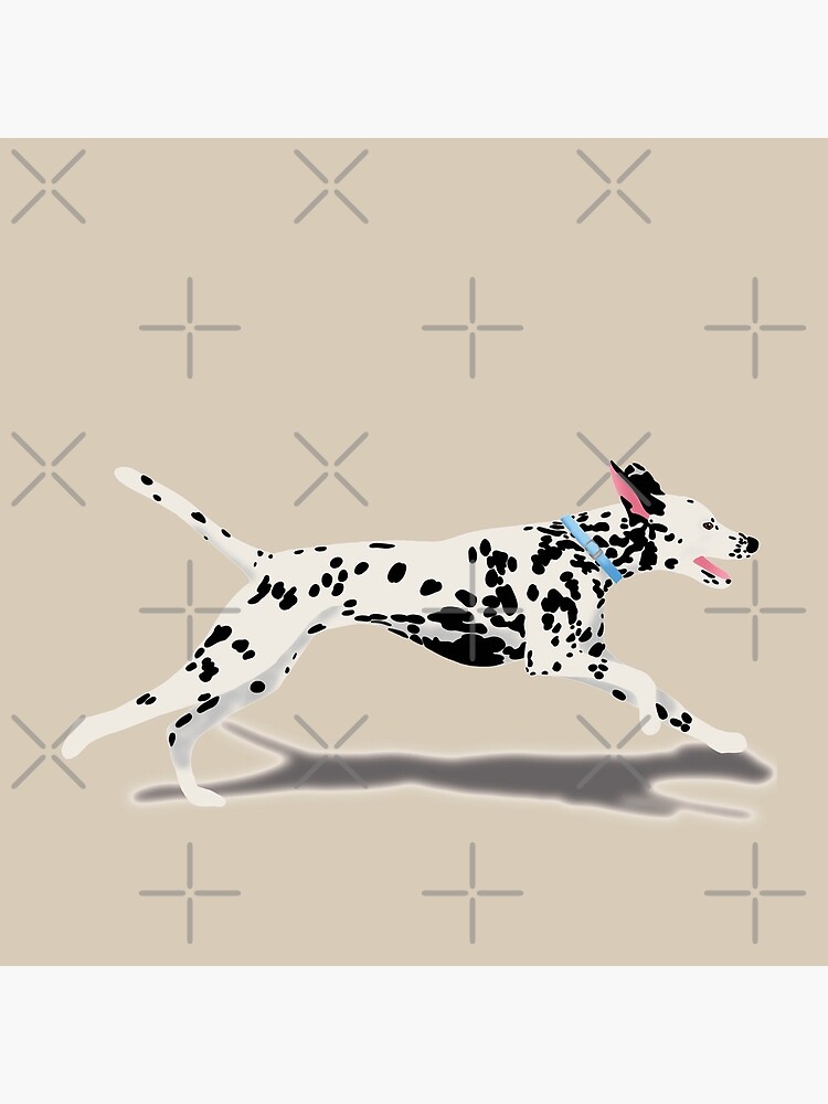 Dalmatian by kmg-design