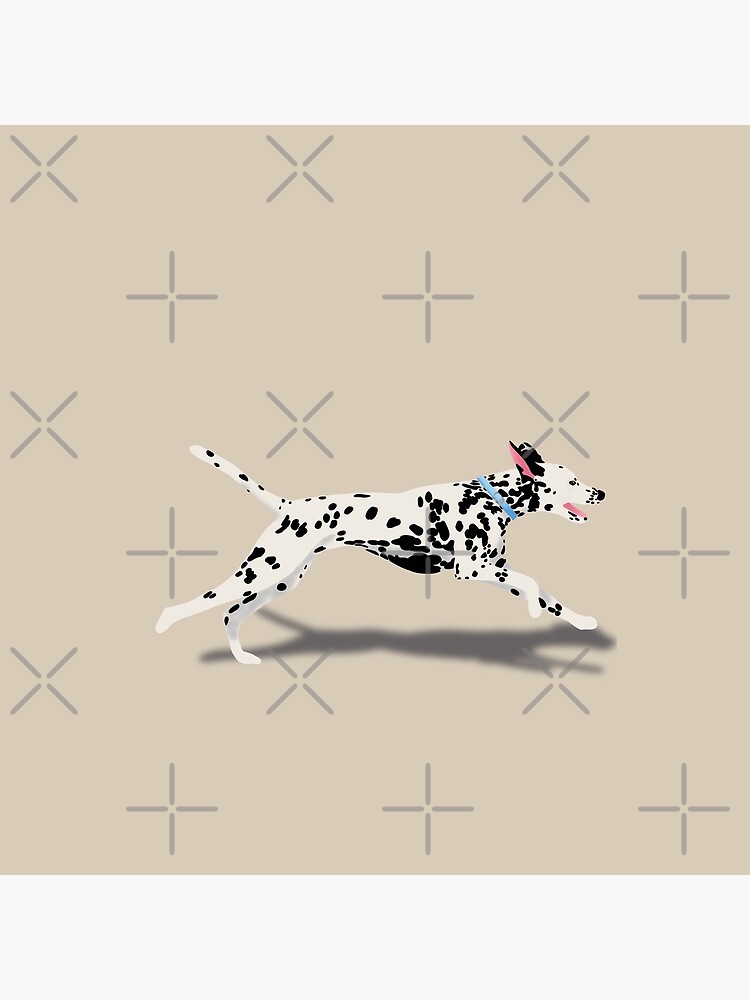 Dalmatian by kmg-design
