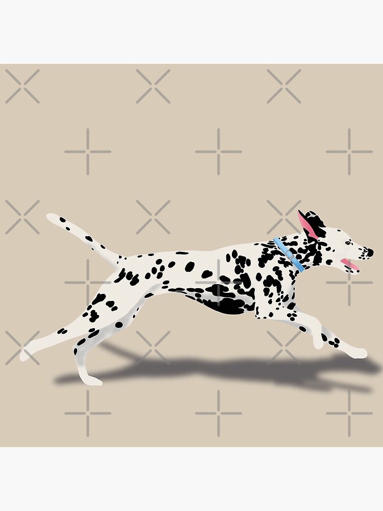Dalmatian by kmg-design