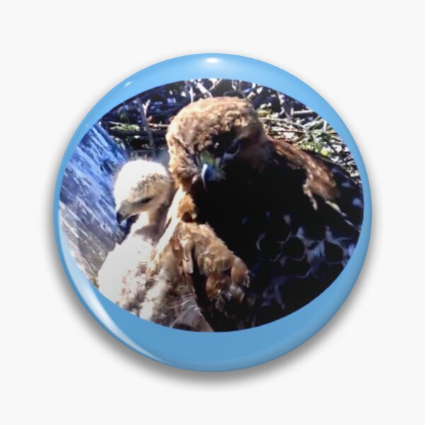 Item preview, Red-tailed Hawks designed and sold by theAliCat.
