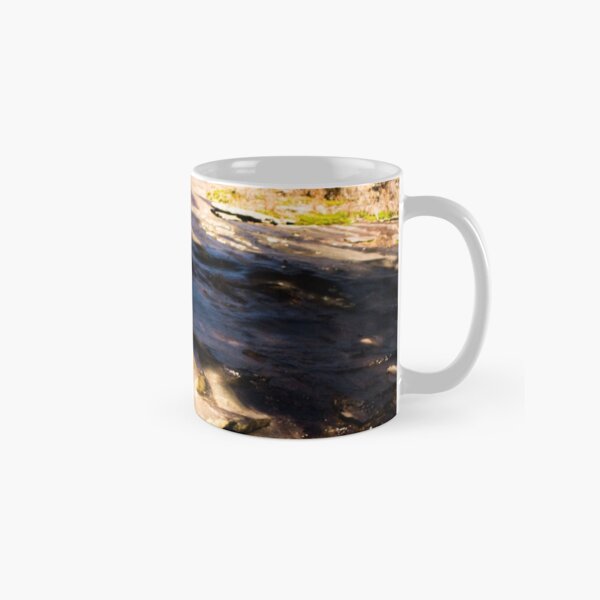 Landscape 28 Classic Mug