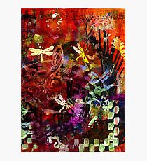 Day of the Dragonflies Photographic Print