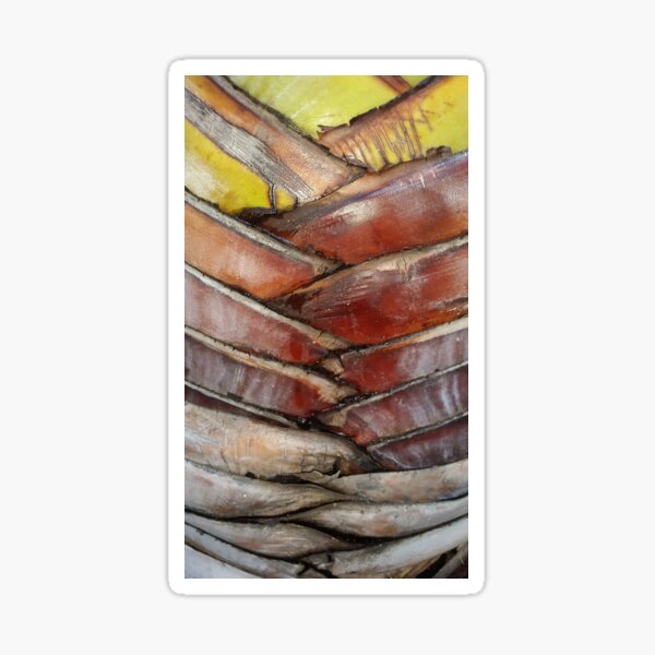 palm pattern Sticker