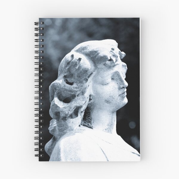 Item preview, Fallen Angel designed and sold by Richard Nixon.