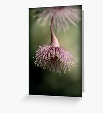 Belle of the ball Greeting Card
