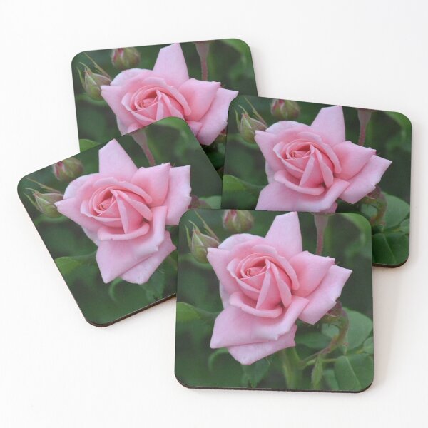 Item preview, Delicate Pink Rose designed and sold by ReneeKennedy.