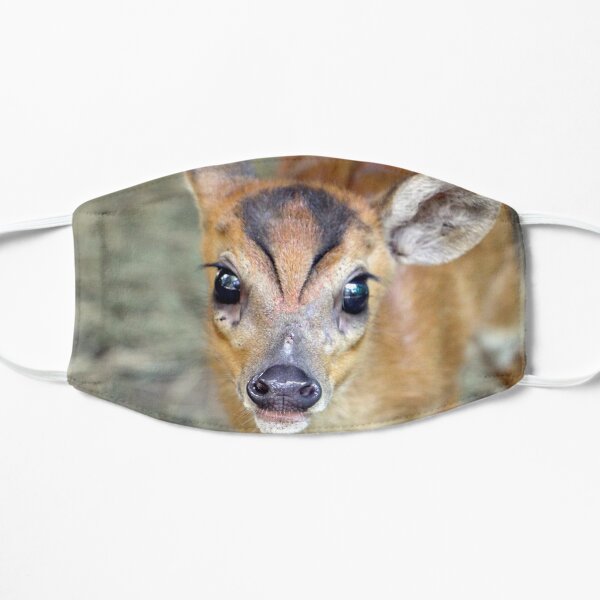 Muntjac Hirsch Geschenke Merchandise Redbubble