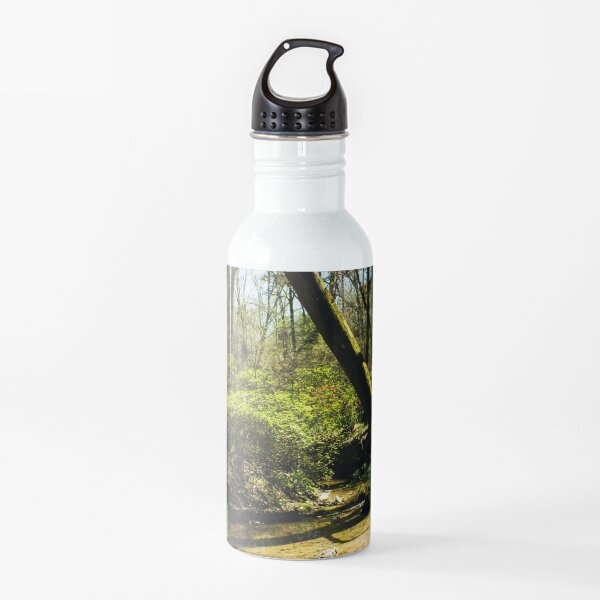 Landscape 40 Water Bottle