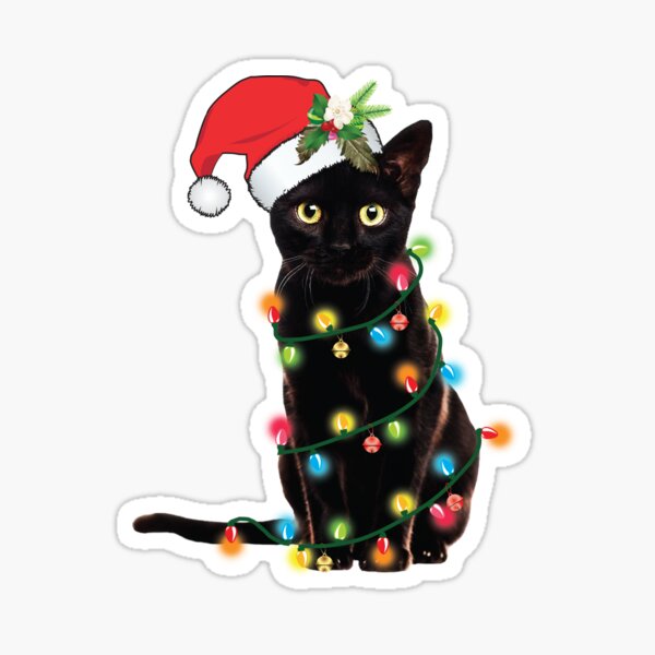 Schwarze Weihnachtskatze verheddert sich in Lichter Weihnachten Santa Sticker