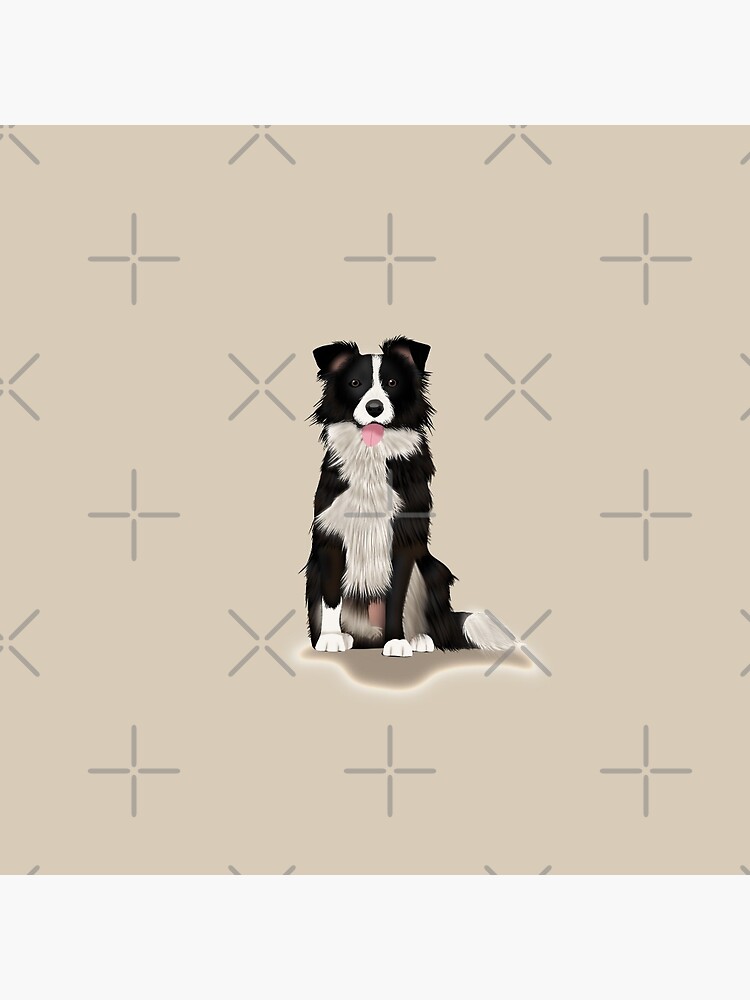 Border Collie by kmg-design