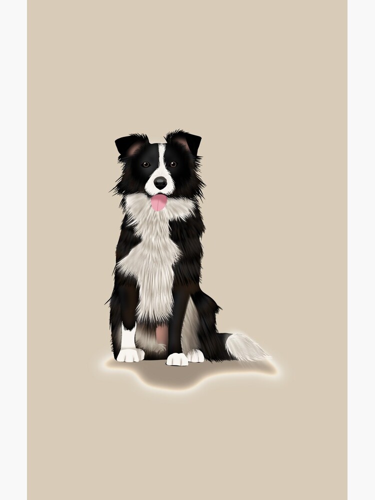 Border Collie by kmg-design