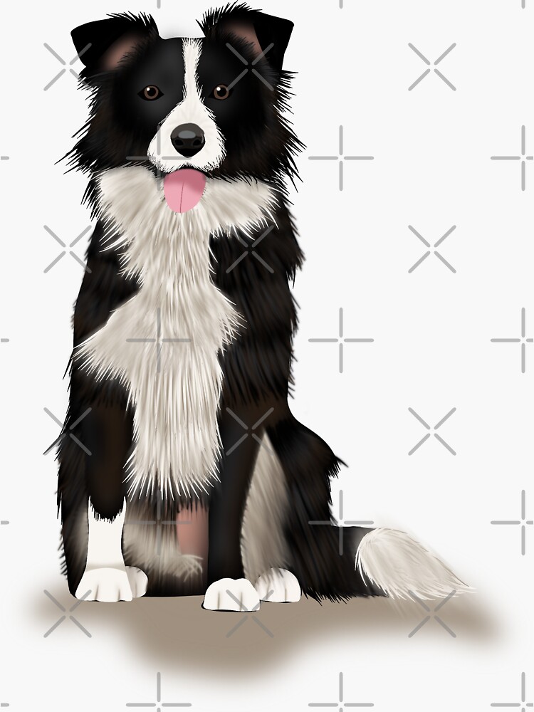 Border Collie by kmg-design