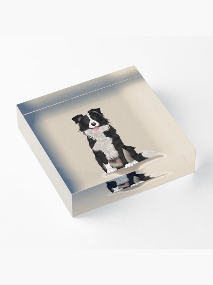 Alternate view of Border Collie Acrylic Block