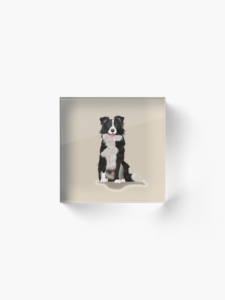 Alternate view of Border Collie Acrylic Block