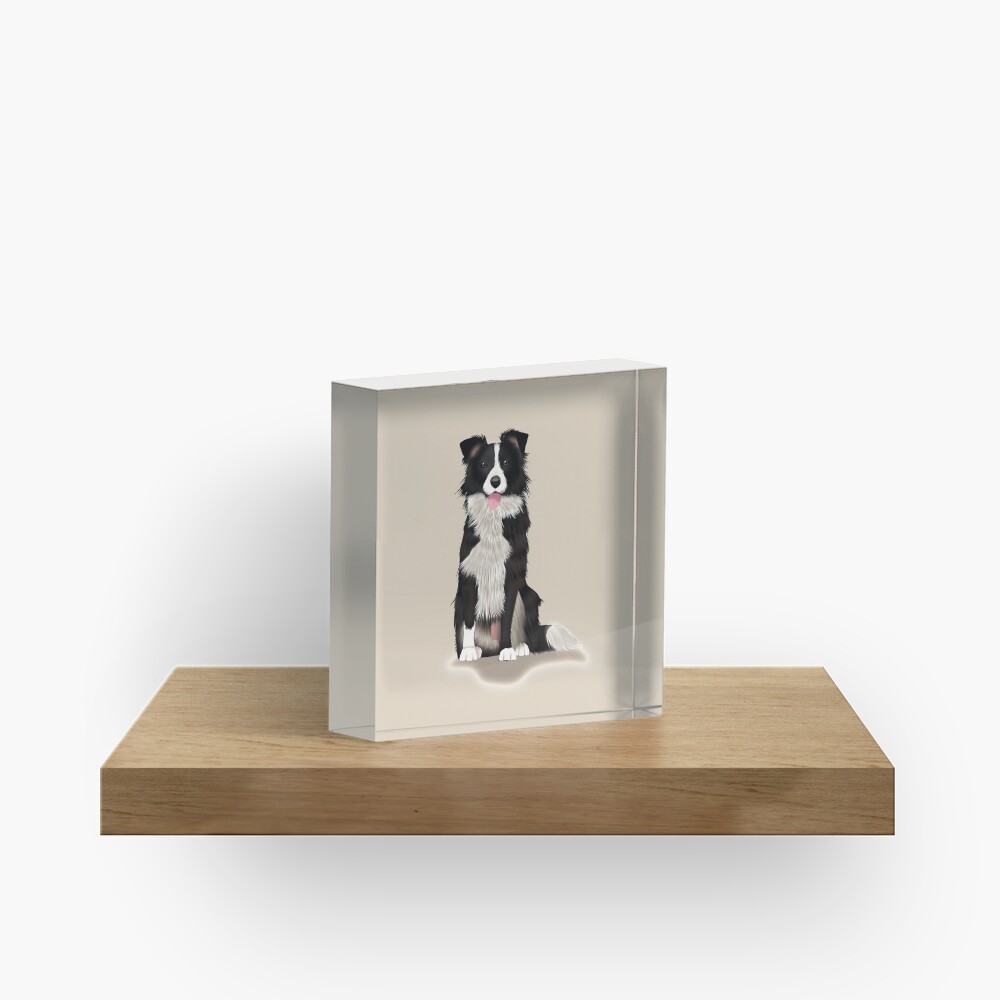 Border Collie Acrylic Block