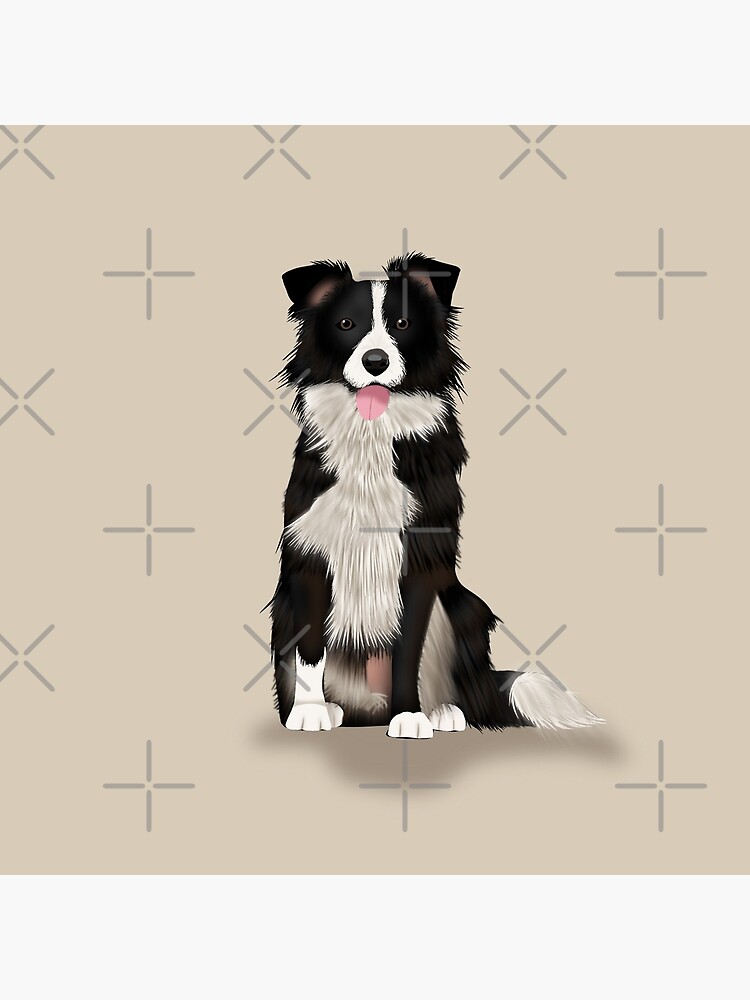 Border Collie by kmg-design