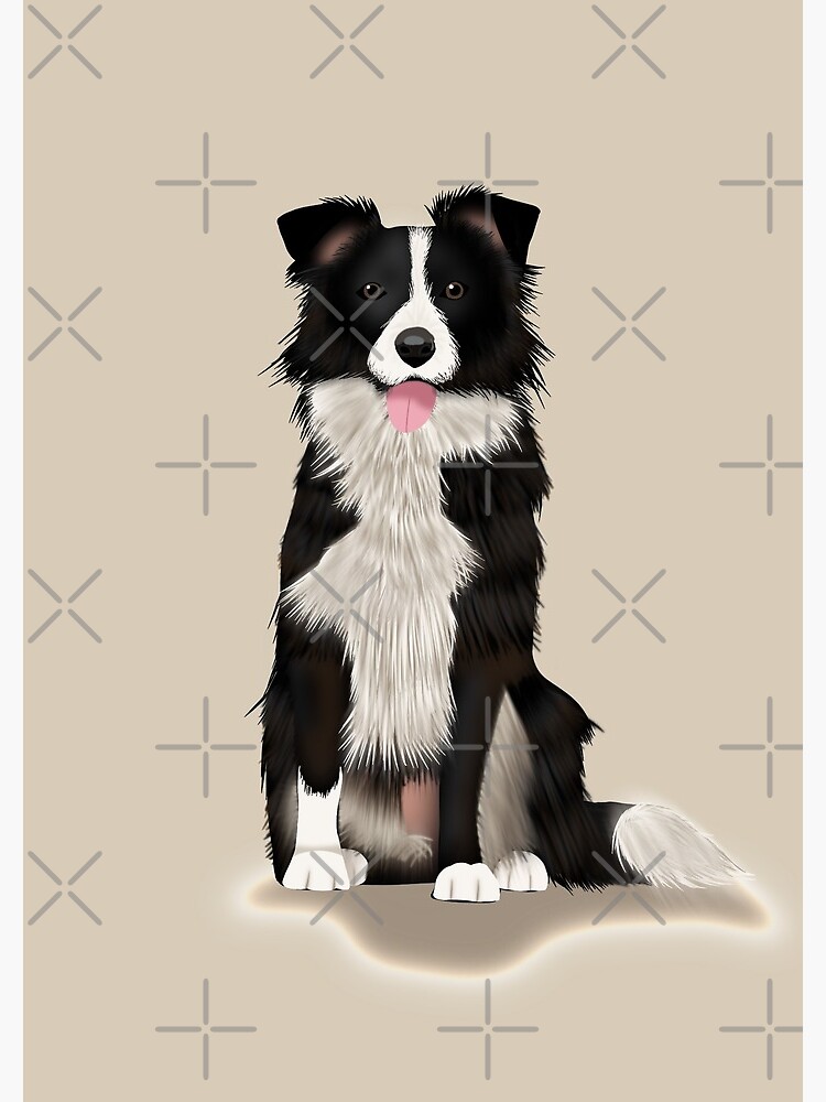 Border Collie by kmg-design